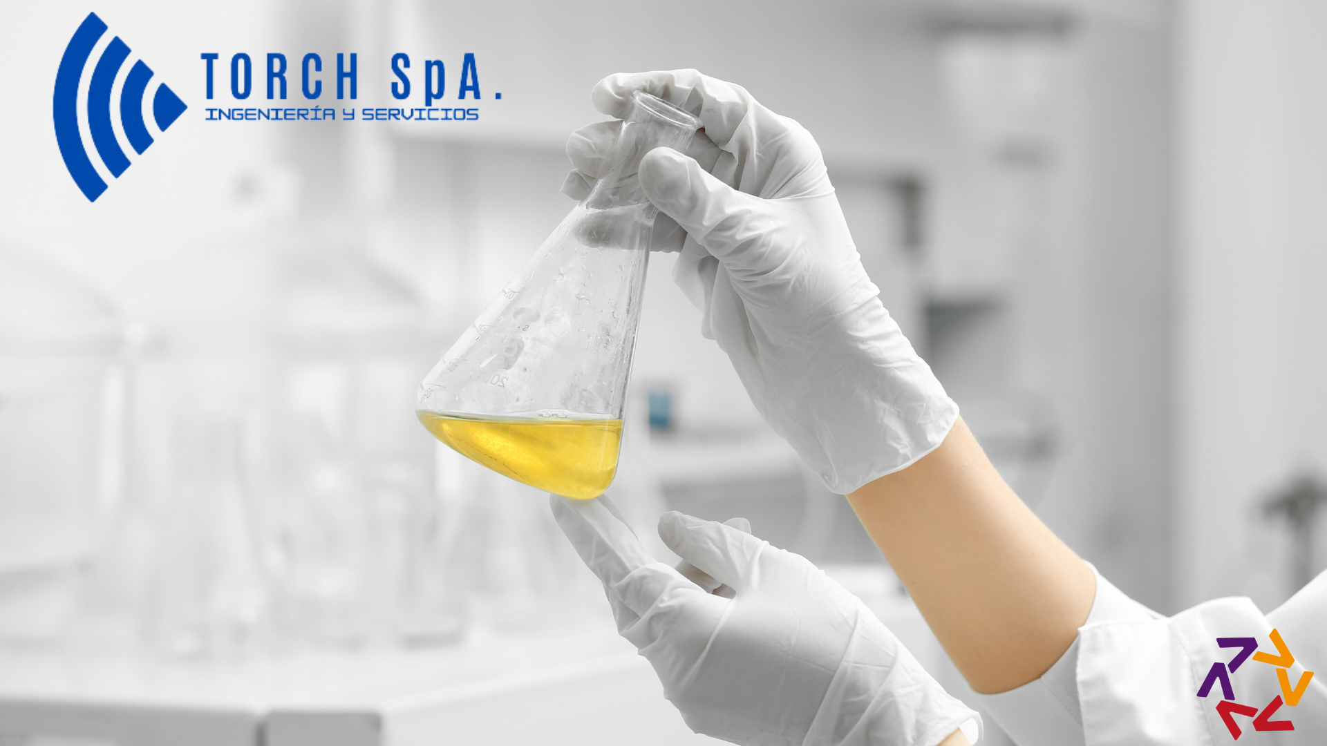 Procedimientos Laboratorista Químico