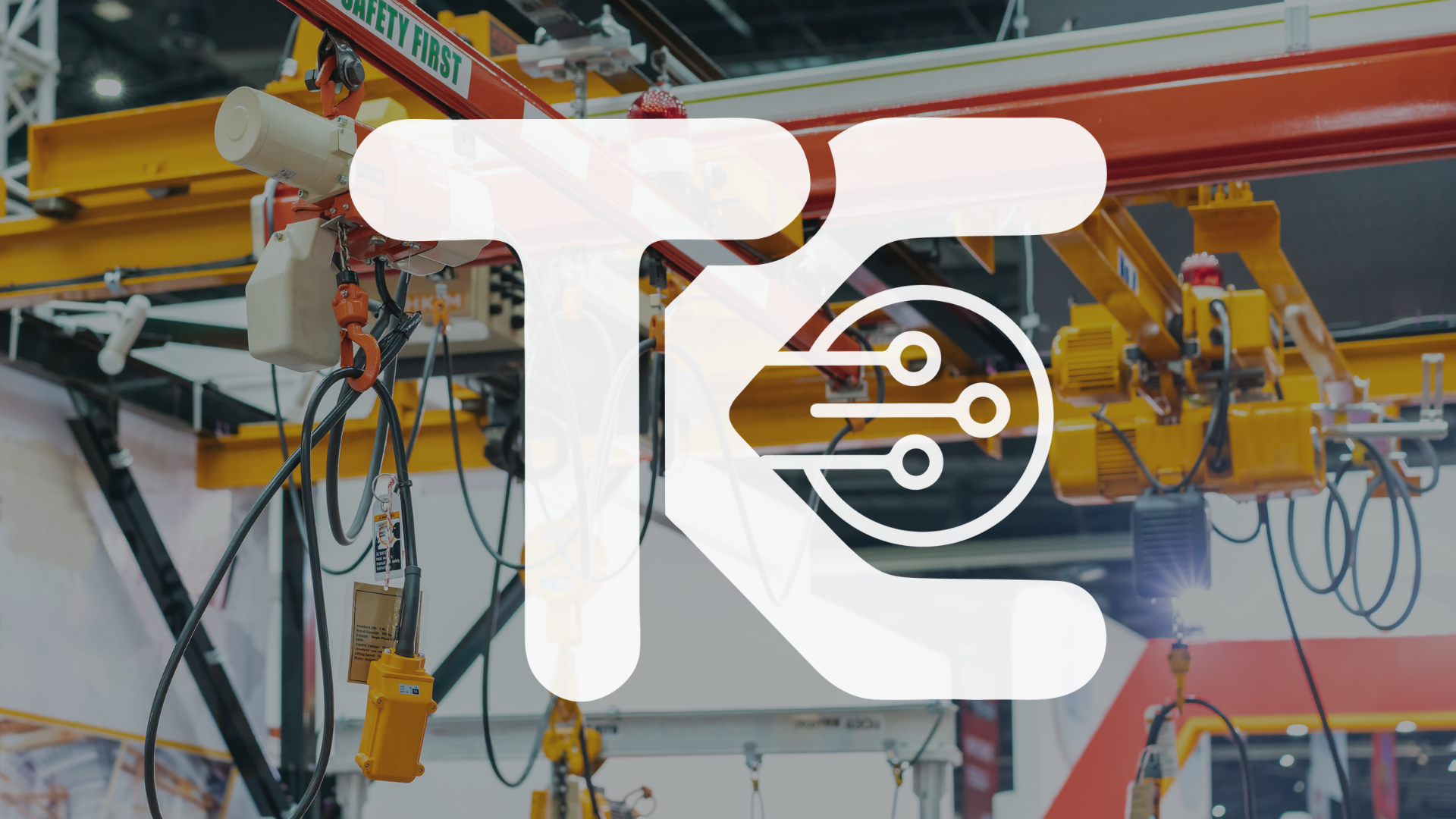 Operación Segura Puente Grúa